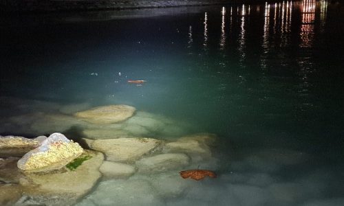 Elkezdett befagyni a Balaton