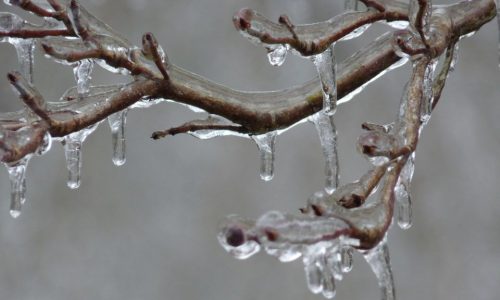 Figyelmeztetést adtak ki ónos eső veszélye miatt