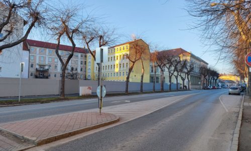 Metszik a Kossuth Lajos utcai ostorfákat Esztergomban