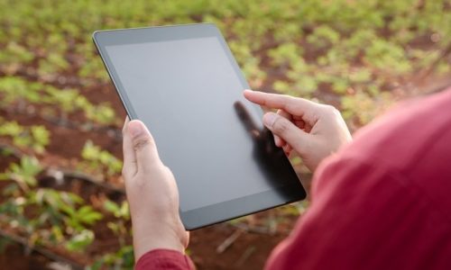 Az élelmiszerlánc-felügyeleti díj befizetésére figyelmeztet a Nébih