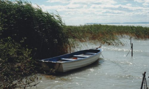 Kevés nádat aratnak a Balatonnál az idei szezonban is