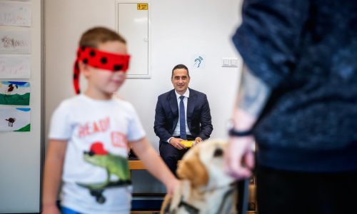 Állatvédő címre pályázhatnak az intézmények