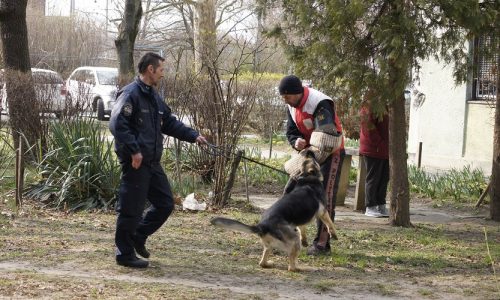 Kutyás képzést tartott a Rendőrség és a Polgárőrség