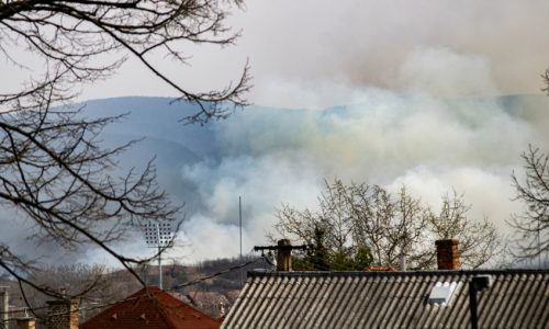 Ismét szabadtéri tűzhöz riasztották a tűzoltókat