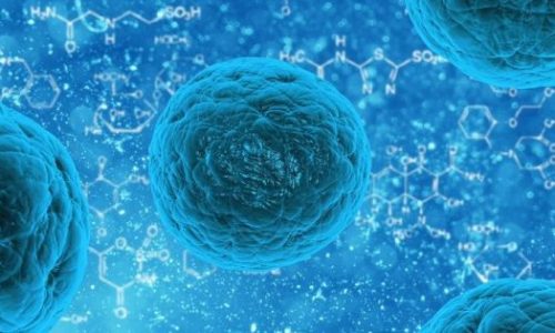 Biológiai fegyverkísérletekkel gyanúsítja Oroszország Ukrajnát