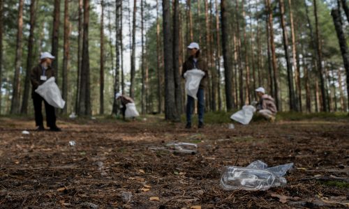 Több mint százötven zsáknyi szemetet szedtek Sárisápon