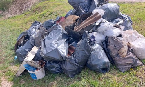 Nyolcvan zsáknyi szemét gyűlt össze Bajnától Szomorig
