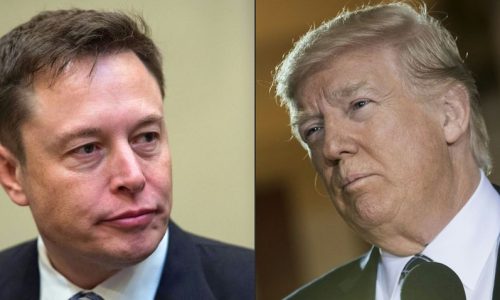 Visszavonja Trump letiltását a Twitterről Elon Musk