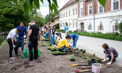 Virágokat ültetett az önkormányzat a tópartra Tatán