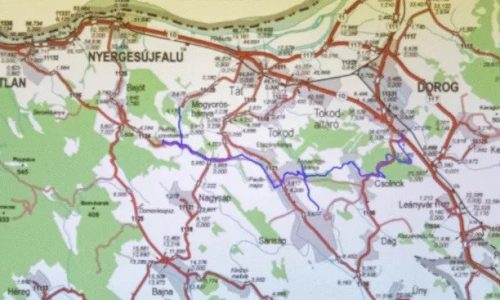 Erdei turistaútvonal létesülhet a régi homokvasút nyomvonalán