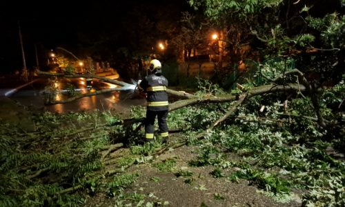 Komárom-Esztergom megyét sem kímélte a tegnapi vihar