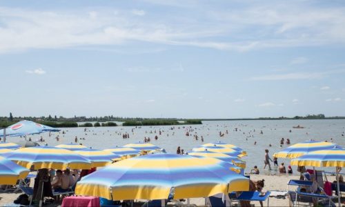 Nem minden strandot javasolnak fürdőzésre a Velencei-tónál