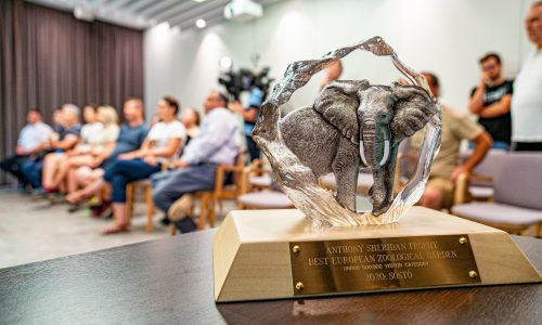 Ismét Európa legjobb állatkertje lett a Nyíregyházi Állatpark
