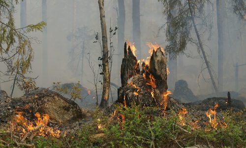 Már hat megyében van tűzgyújtási tilalom