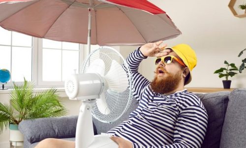 Berobban a kánikula: mutatjuk mire kell figyelni 