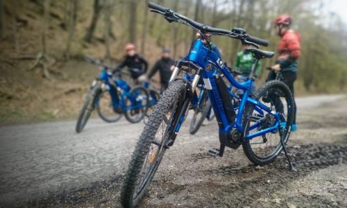 Erdei kerékpárút-felújításba kezd a Pilisi Parkerdő