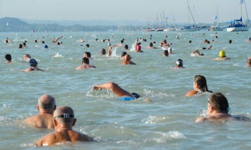 Jövő szombaton negyvenedszer tartják meg a Balaton-átúszást