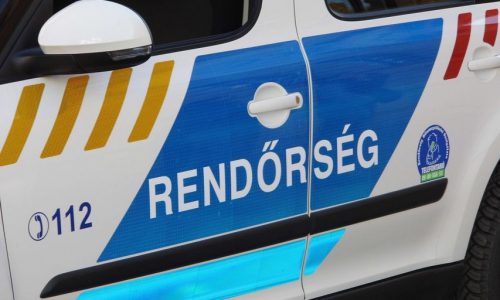 Életet mentettek a rendőrök Tatán