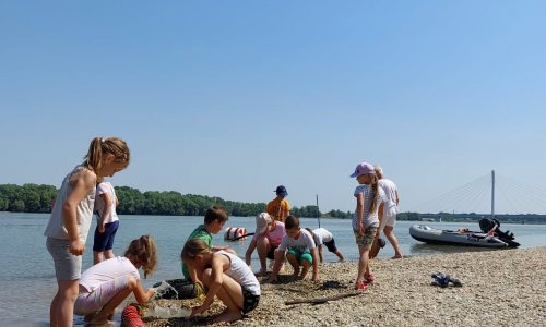 Már a koppánymonostori szabadstrandon is fürdőzhetünk