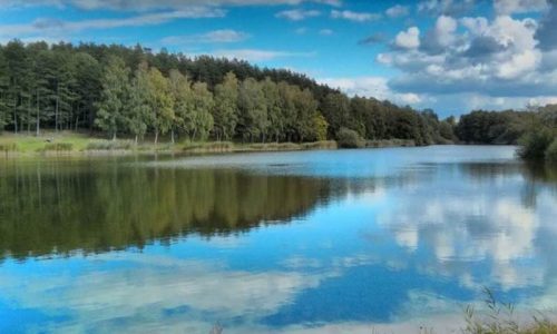 Megvannak a 2023-as Év hala jelöltjei