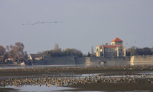 100 ezer forintra büntették a tatai tűzijáték tilalom egyik megszegőjét