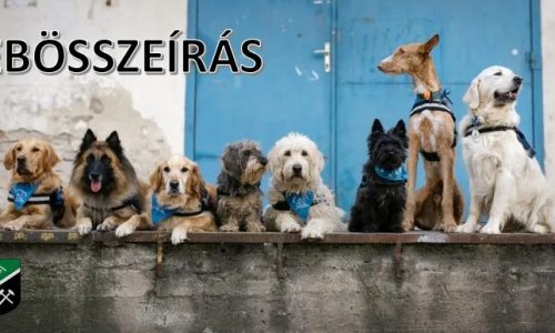 Ebösszeírás lesz Csolnokon