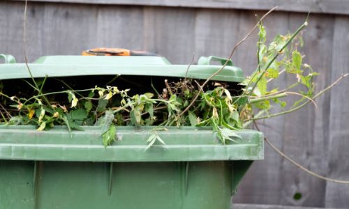 Megnyitják a kesztölci zöldhulladék lerakót
